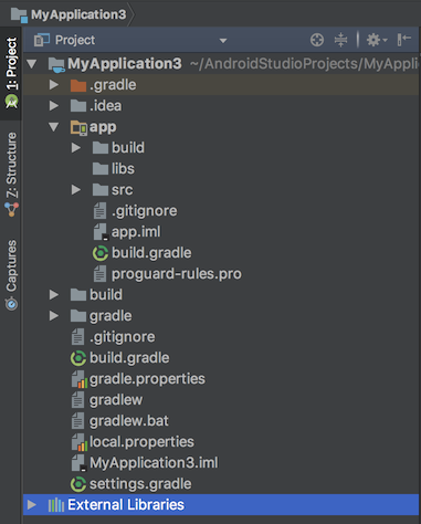 Project